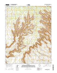 Cedar Mesa South 2014 topographic map thumbnail