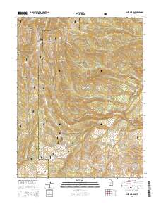 White Pine Peak 2014 topographic map preview