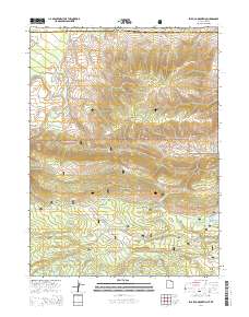 Phil Pico Mountain 2014 topographic map thumbnail