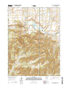 Swallow Canyon 2014 topographic map thumbnail