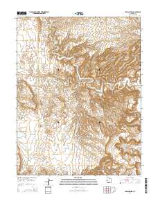 Ireland Mesa 2014 topographic map thumbnail