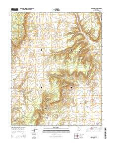 Nephi Point 2014 topographic map thumbnail