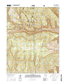Ray Mesa 2014 topographic map thumbnail