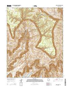 Navajo Point 2014 topographic map thumbnail