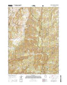 Red Spur Mountain 2014 topographic map thumbnail