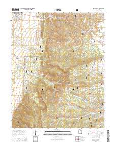 Wilson Peak 2014 topographic map thumbnail