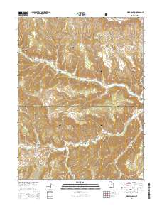 Wood Canyon 2014 topographic map thumbnail