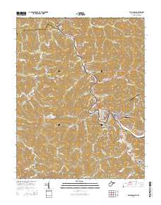 Williamson 2014 topographic map thumbnail