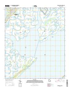 Wassaw Sound 2014 topographic map thumbnail