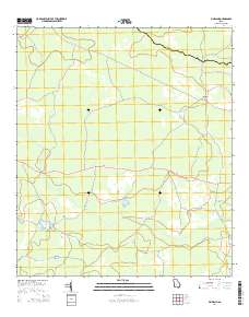Pineland 2014 topographic map thumbnail
