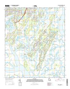 Isle of Hope 2014 topographic map thumbnail
