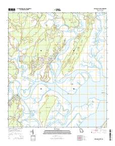 Shellman Bluff 2014 topographic map thumbnail