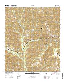 Buena Vista 2014 topographic map thumbnail