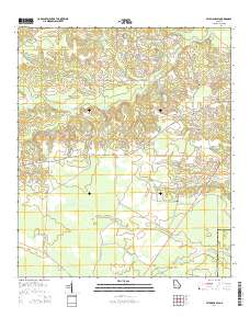 Altamaha SW 2014 topographic map thumbnail