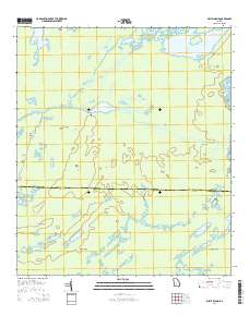 Billys Island 2014 topographic map thumbnail