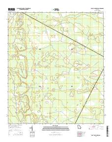 East of Ludowici 2014 topographic map thumbnail