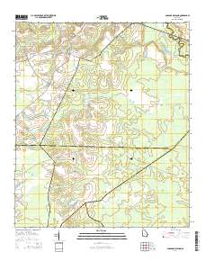 Glissons Millpond 2014 topographic map thumbnail