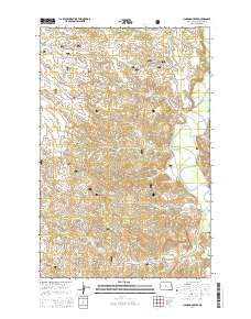 Cinnamon Creek 2014 topographic map thumbnail
