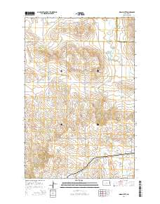 Indian Butte 2014 topographic map thumbnail