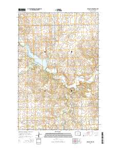 Nelson Lake 2014 topographic map thumbnail