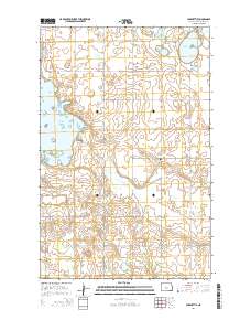 Lake Nettie 2014 topographic map thumbnail