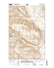 Blacktail Lake 2014 topographic map thumbnail