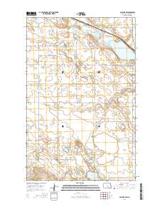 Balfour NW 2014 topographic map thumbnail