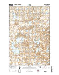 Pearl Lake 2014 topographic map thumbnail