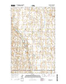Snyder Lake 2014 topographic map thumbnail