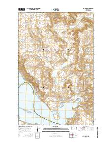 Rat Lake SE 2014 topographic map thumbnail