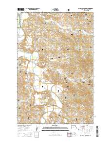 Roosevelt Creek East 2014 topographic map thumbnail