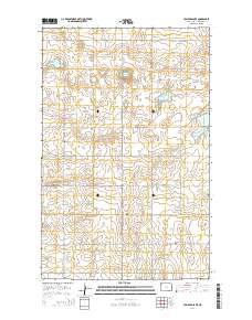 Tom Berg Lake 2014 topographic map thumbnail
