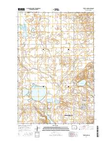 Turtle Lake 2014 topographic map thumbnail