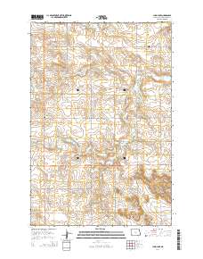 Jung Lake 2014 topographic map thumbnail