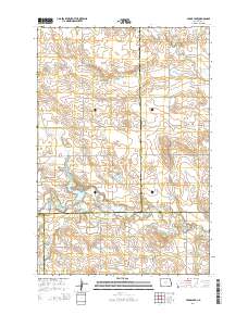 Cedar Lake 2014 topographic map thumbnail