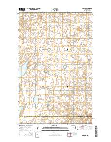 Camp Lake 2014 topographic map thumbnail