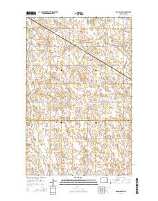 Billings Lake 2014 topographic map thumbnail