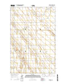 Emerado SE 2014 topographic map thumbnail