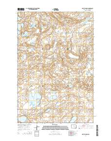 Lake Williams 2014 topographic map thumbnail