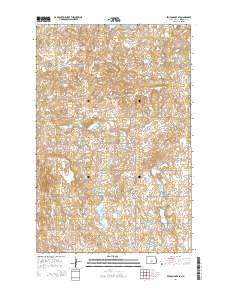 Pelican Lake SE 2014 topographic map thumbnail