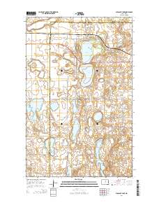 Pleasant Lake 2014 topographic map thumbnail
