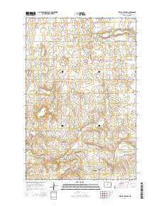 Turtle Creek SE 2014 topographic map thumbnail