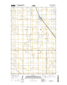 Willow City 2014 topographic map thumbnail