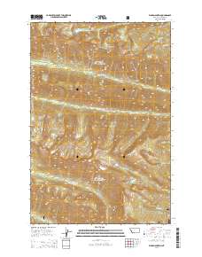 Ward Mountain 2014 topographic map thumbnail