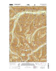Red Meadow Lake 2014 topographic map preview