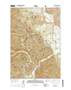 Burnt Ridge 2014 topographic map thumbnail