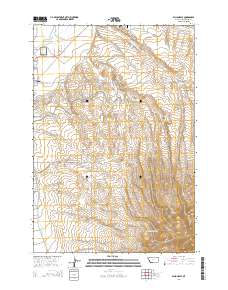Dillon East 2014 topographic map thumbnail