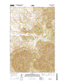 New Year 2014 topographic map thumbnail