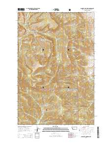 Blowout Mountain 2014 topographic map thumbnail