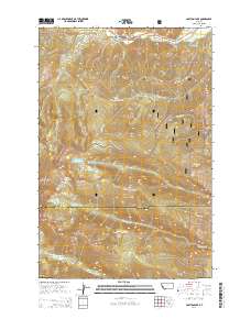 Carlton Lake 2014 topographic map thumbnail